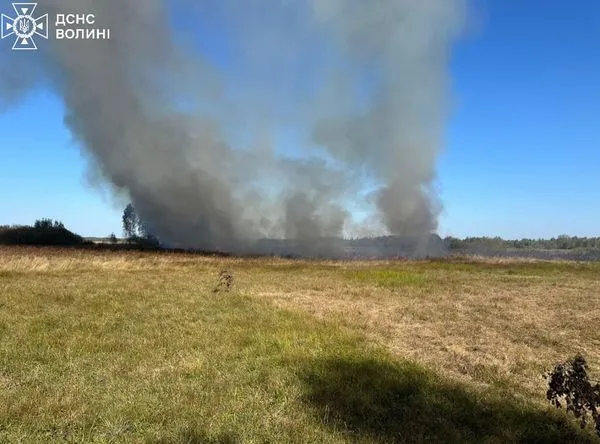 Винуватець втік: на Ратнівщині горіли суха трава та чагарники (фото)