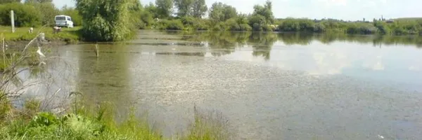 Шашлики, риболовля, водойми: де відпочити біля Луцька (локації та ціни)