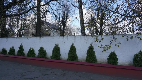 Terra incognita, або За колючим дротом Луцького прикордонного загону (репортаж, фото)