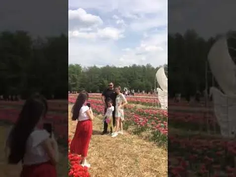 «Волинська Голландія»: за зірвані тюльпани – 500 гривень штрафу (фото, відео)