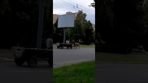 «Екотранспорт»: чоловік катався возом на проспекті в Луцьку (відео)