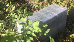 На Волині затримали контрабандистів у гідрокостюмах (фото)