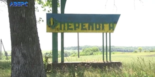 Під Луцьком заростає маками 1,5 тисячі гектарів родючої землі: що сталося (відео)