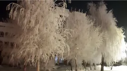 Морозний ранок у Луцьку (фото)