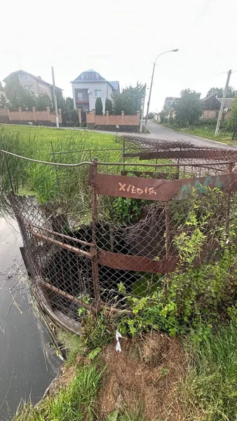 У Луцьку маму-качку з каченям врятували з металевої пастки (фото)