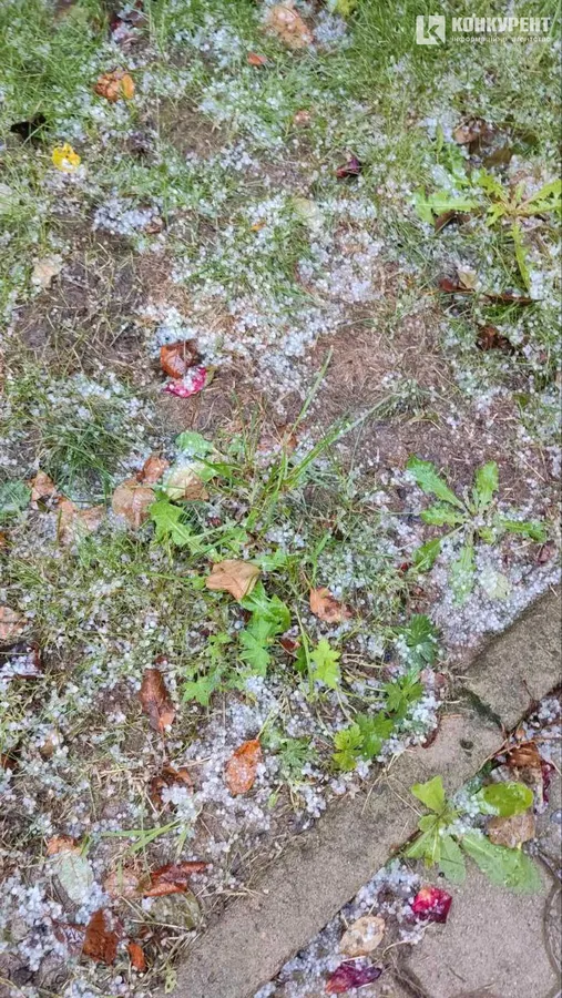Град і злива: частину Луцька накрила негода (фото, відео)