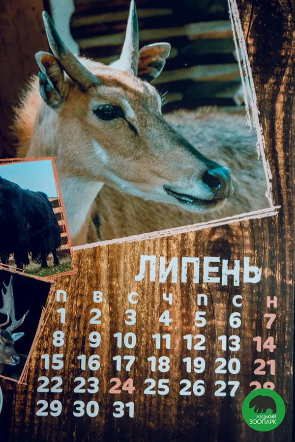 «Луцький зоопарк» видав «мімішний» календар на 2019 рік (фото)