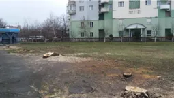 У Луцьку зрізали 18 дерев: комунальники ні сном, ні духом (фото)