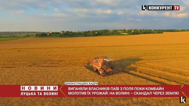 На Волині скандал через землю: власників паїв виганяли з поля, поки комбайн молотив їх урожай (відео)