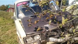 На Волині 21-річний злодій потрапив у ДТП на викрадених «жигулях» (фото)