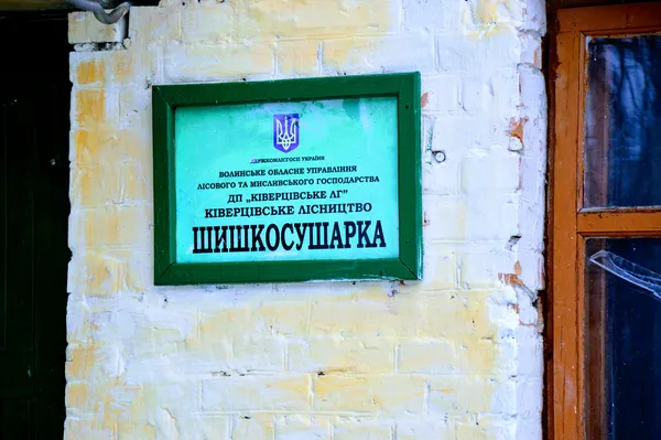 З чого розростається волинський ліс (фото)