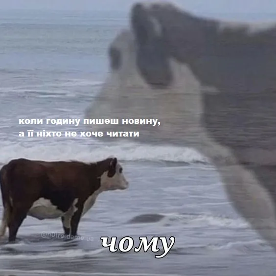 Воно смішно, але не завжди: меми про журналістів (фото)