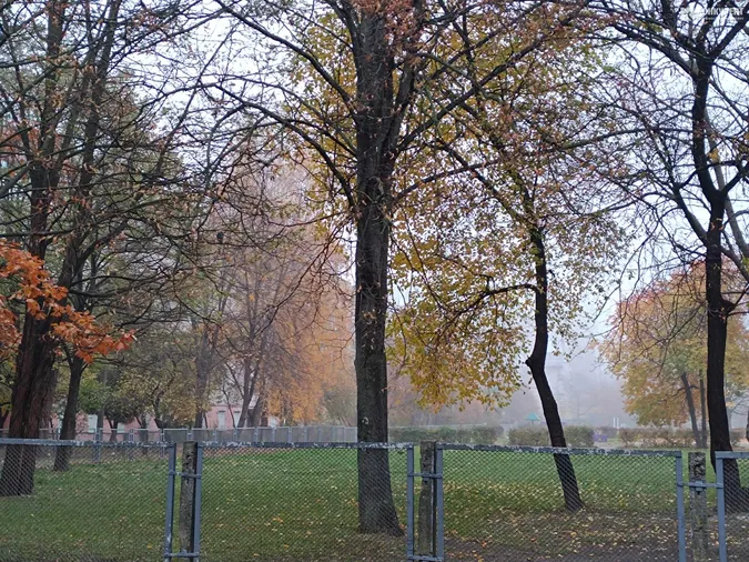 Луцьк знову втонув у тумані (фото)