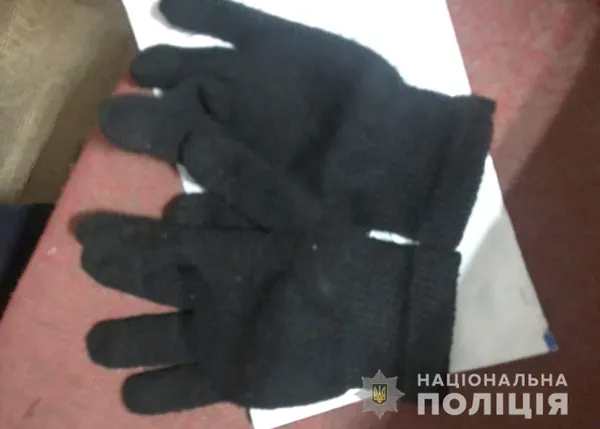 У Луцьку затримали серійного «домушника» (фото, відео)