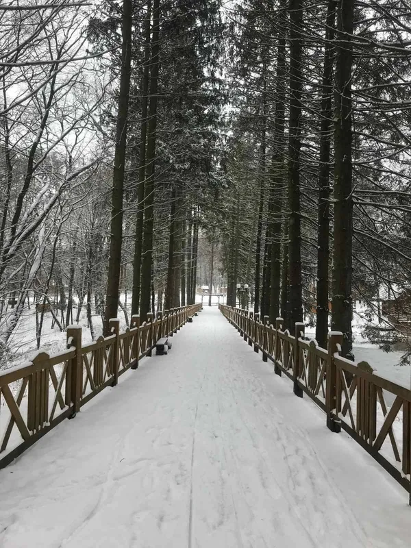 Топ-5 локацій біля Луцька для зимового відпочинку (фото)