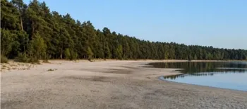 Лежаки стоять там, де колись була вода: популярне озеро на Поліссі катастрофічно обміліло (фото)
