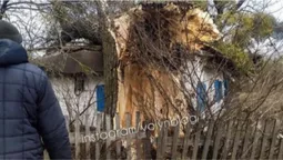 У селі на Волині величезне дерево впало на житловий будинок (фото, відео)