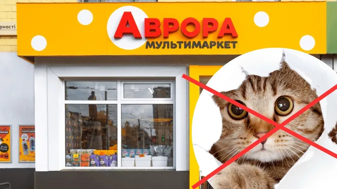 Лучани влаштували бойкот «Аврорі» через заборону годувати котів біля магазину (фото)