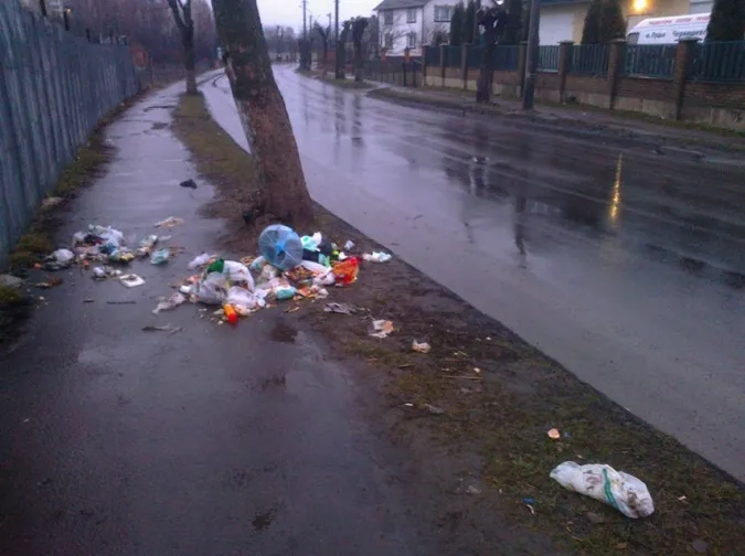 У Луцьку хочуть, щоб було більше смітників