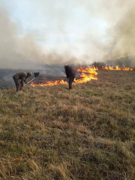 На Волині горів нацпарк (фото)