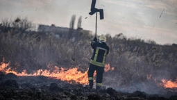 Горіло у кожному районі: на Волині – 31 пожежа (фото)
