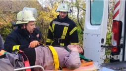 На Волині зняли з дерева чоловіка, який травмувався, обрізуючи гілки (фото)