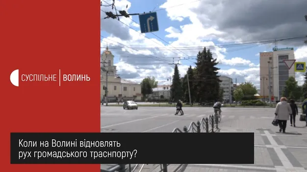Коли запрацює громадський транспорт у Луцьку, і чи готові перевізники (відео)