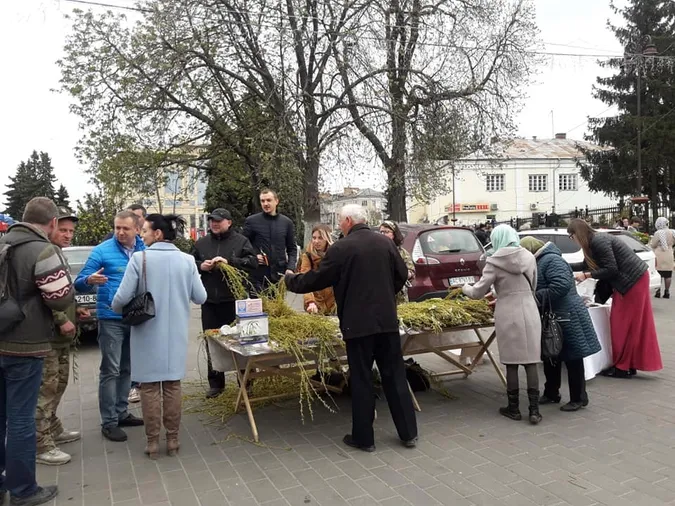 Виручка – на військо: біля луцького собору продаватимуть вербу