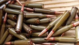 У 51-річного волинянина знайшли 30 набоїв до АК (фото)