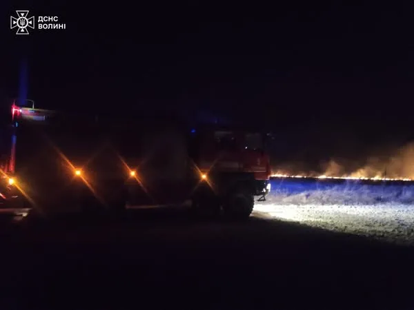 На Волині через людську недбалість вигоріли понад 5 гектарів поля (фото)