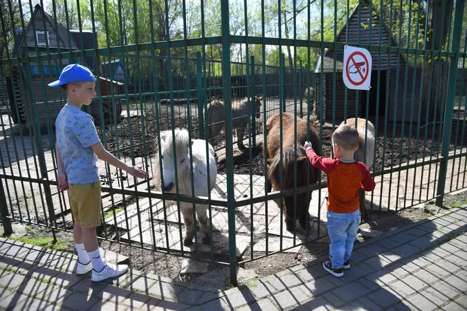 Сонячний день у Луцькому зоопарку (фото)