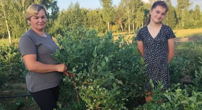 Сімейна справа, яка об'єднує: як родина з Волині розвиває бізнес на лохині (фото)