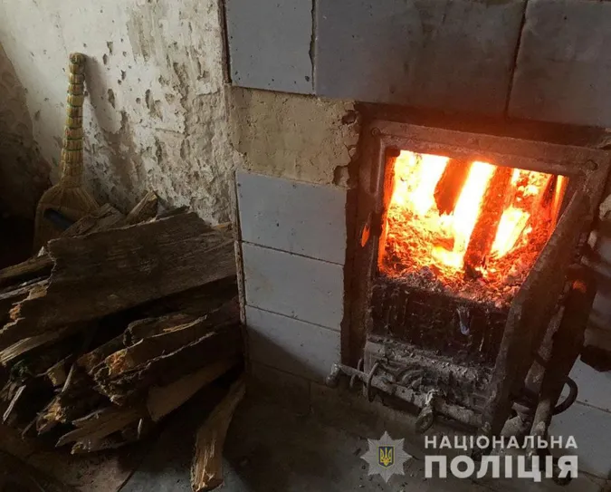 Волинський «шериф» попрацював сокирою на благо громади (фото)