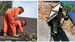 На Волині знешкодили десяток гнізд небезпечних комах (фото)