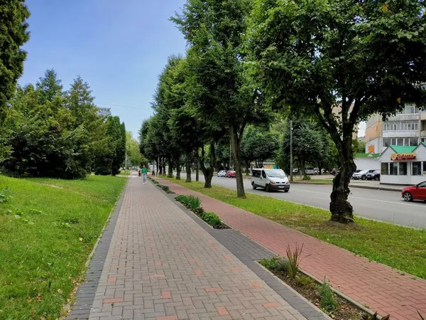 Рожева мрія: перші кроки Луцька до комфортного міста