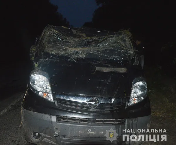 Смертельна аварія на Волині: через п'яного водія загинув пасажир (фото)