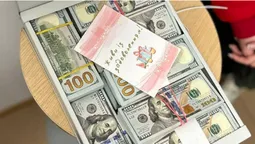 У депутатки Хмельницької міськради знайшли понад 1,5 млн незадекларованих доларів (фото)