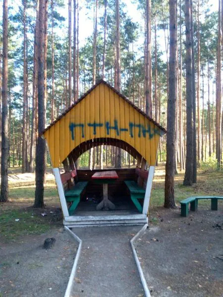 Патріотизм чи вандалізм: у рекреаційному пункті на Волині залишили нецензурні написи про путіна (фото)