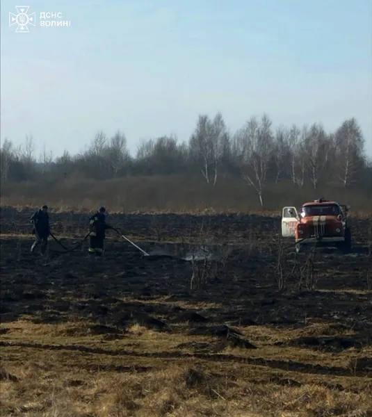 Через спалювання сухостою на Волині горіли три хати-пустки і два дачні будинки (фото)