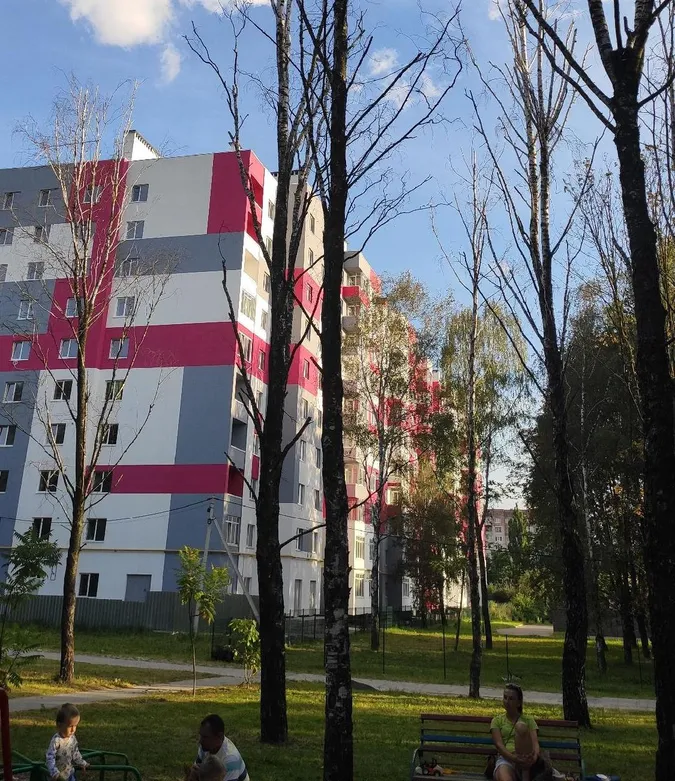 У Луцьку хочуть спиляти берези: кажуть, можуть впасти (ФОТО)