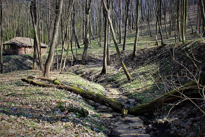 Фото з Вікіпедії