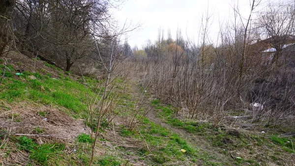 Вздовж Сапалаївки: у Луцьку хочуть збудувати пішохідну набережну через все місто (фото, деталі)