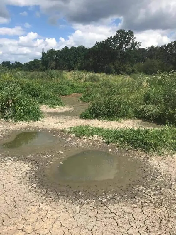 Луцькі муніципали прозвітували, як борються зі смородом (фото)