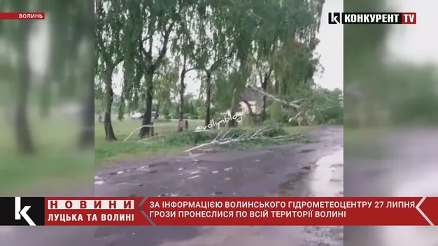На Волині буревій наробив лиха (фото, відео)