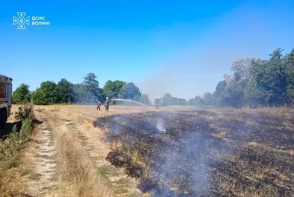 Понад 6 гектарів випаленої землі: у Луцькому районі гасили 7 масштабних пожеж сухої трави (фото)