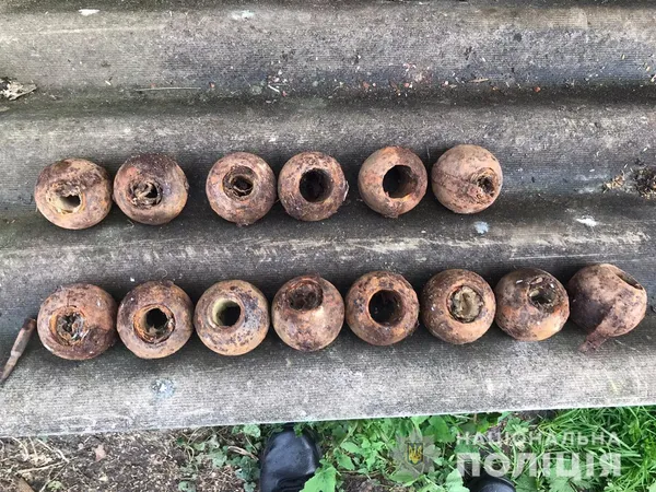 Карабін, набої і боєприпаси: у волинянина знайшли арсенал зброї (фото)