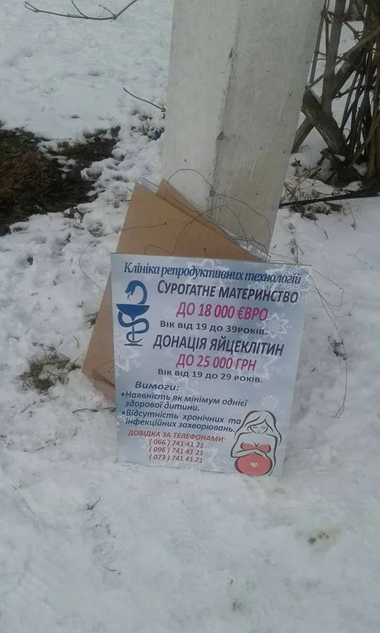 У Луцьку на стовпах рекламують сурогатне материнство (фото)