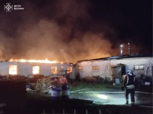 Вогонь охопив корівник і свинарник: на Володимирщині горіла ферма з тваринами (фото)