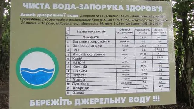 На Волині відновили унікальне джерело (фото)