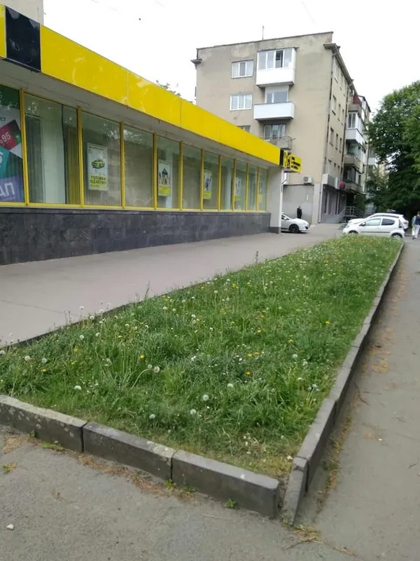 Луцьких підприємців просять підстригти газони (фото)